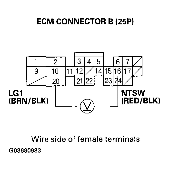 G03680983