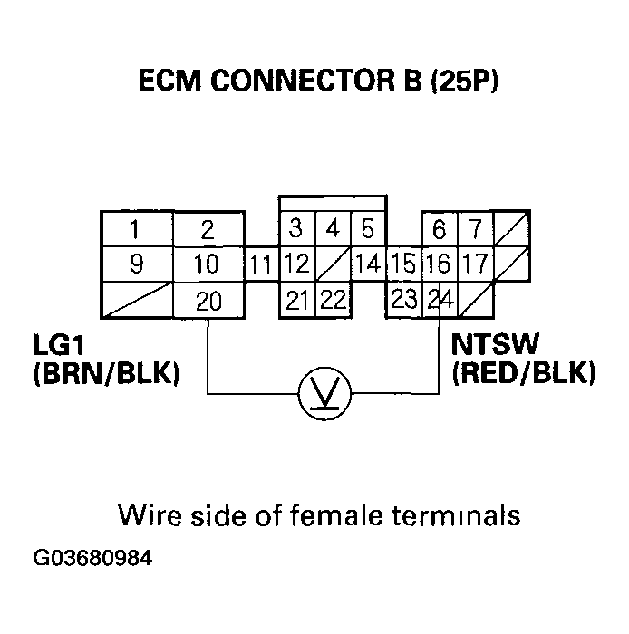 G03680984