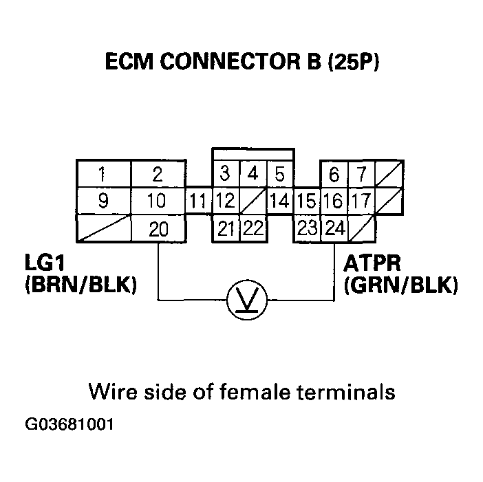 G03681001
