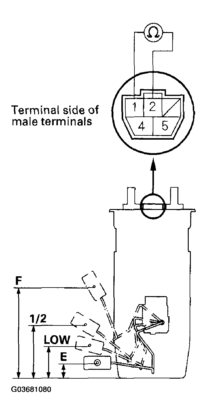 G03681080