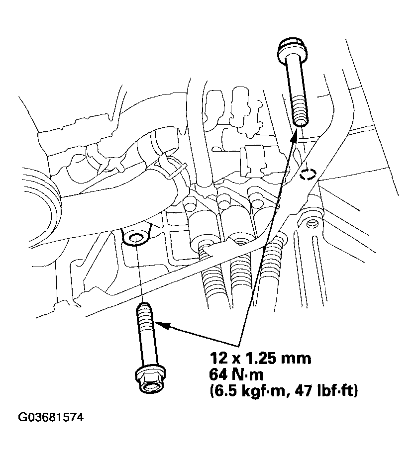 G03681574