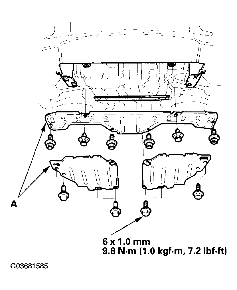 G03681585