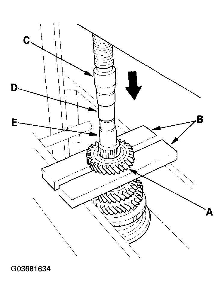 G03681634