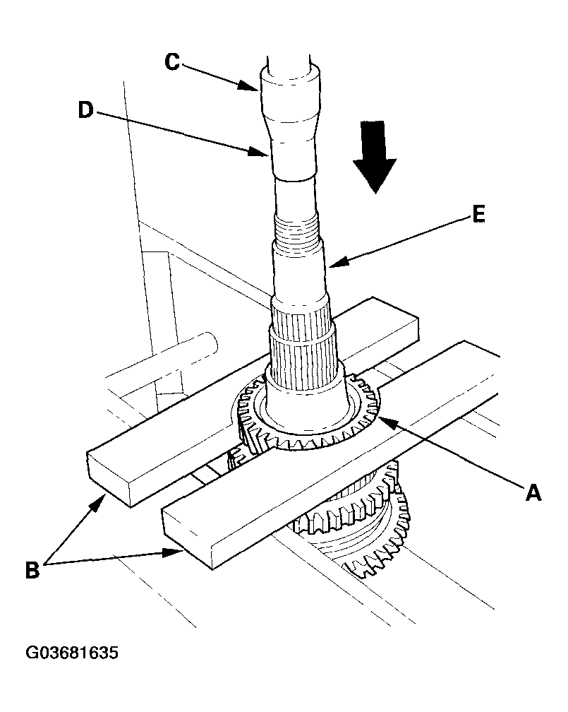 G03681635