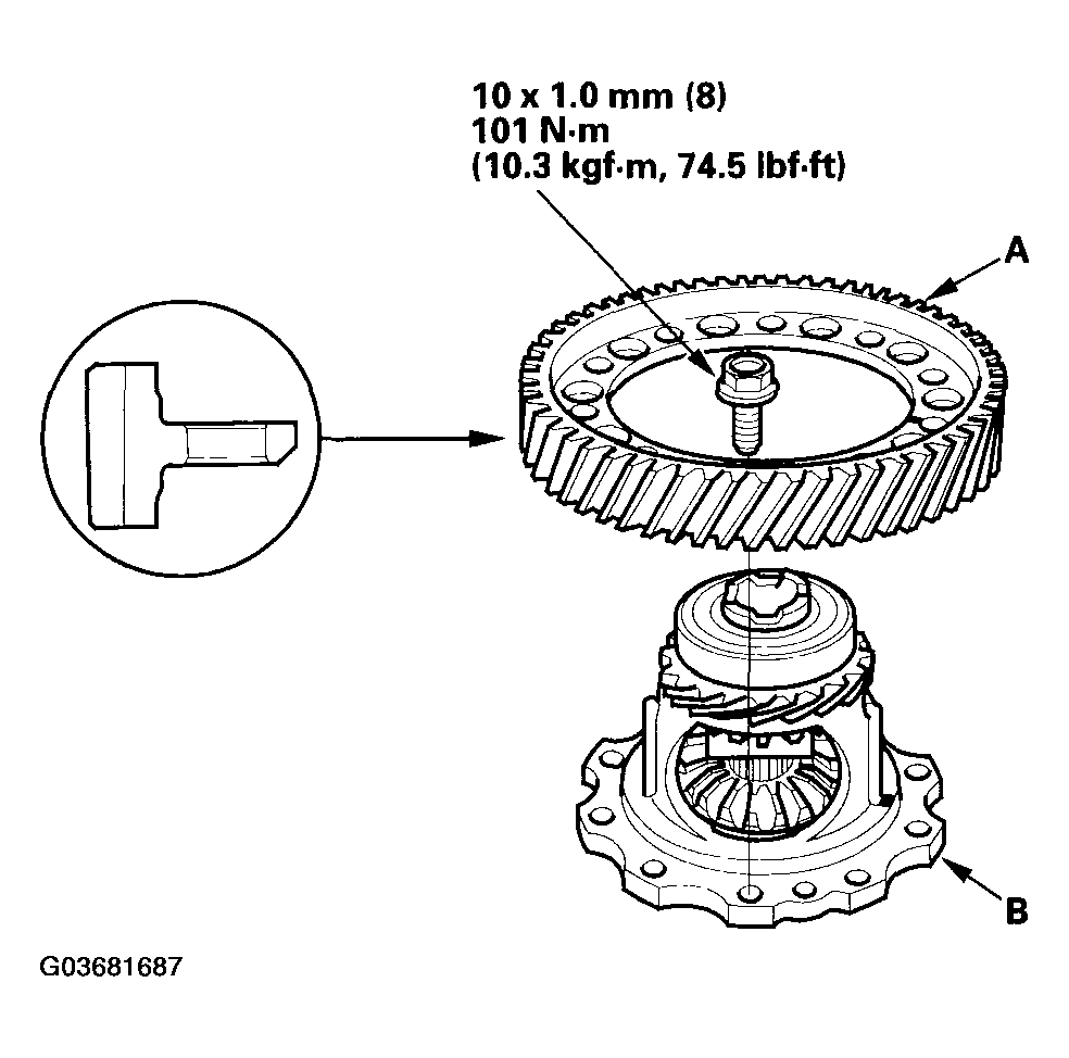 G03681687