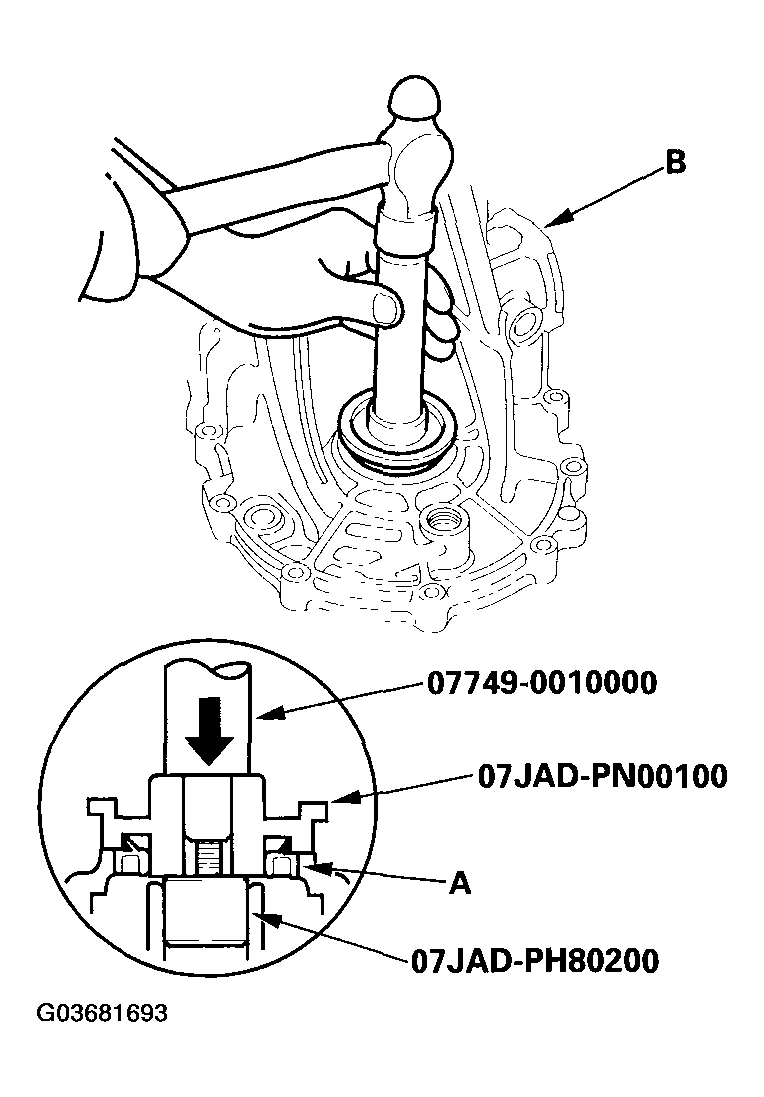 G03681693