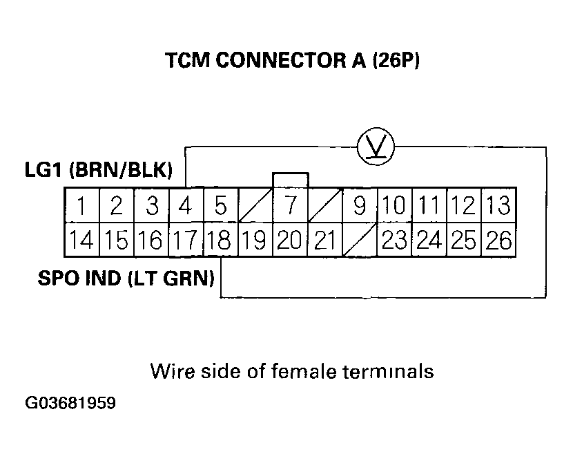 G03681959