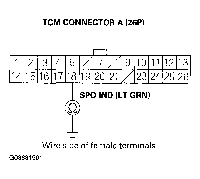 G03681961