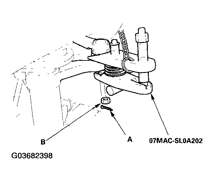G03682398