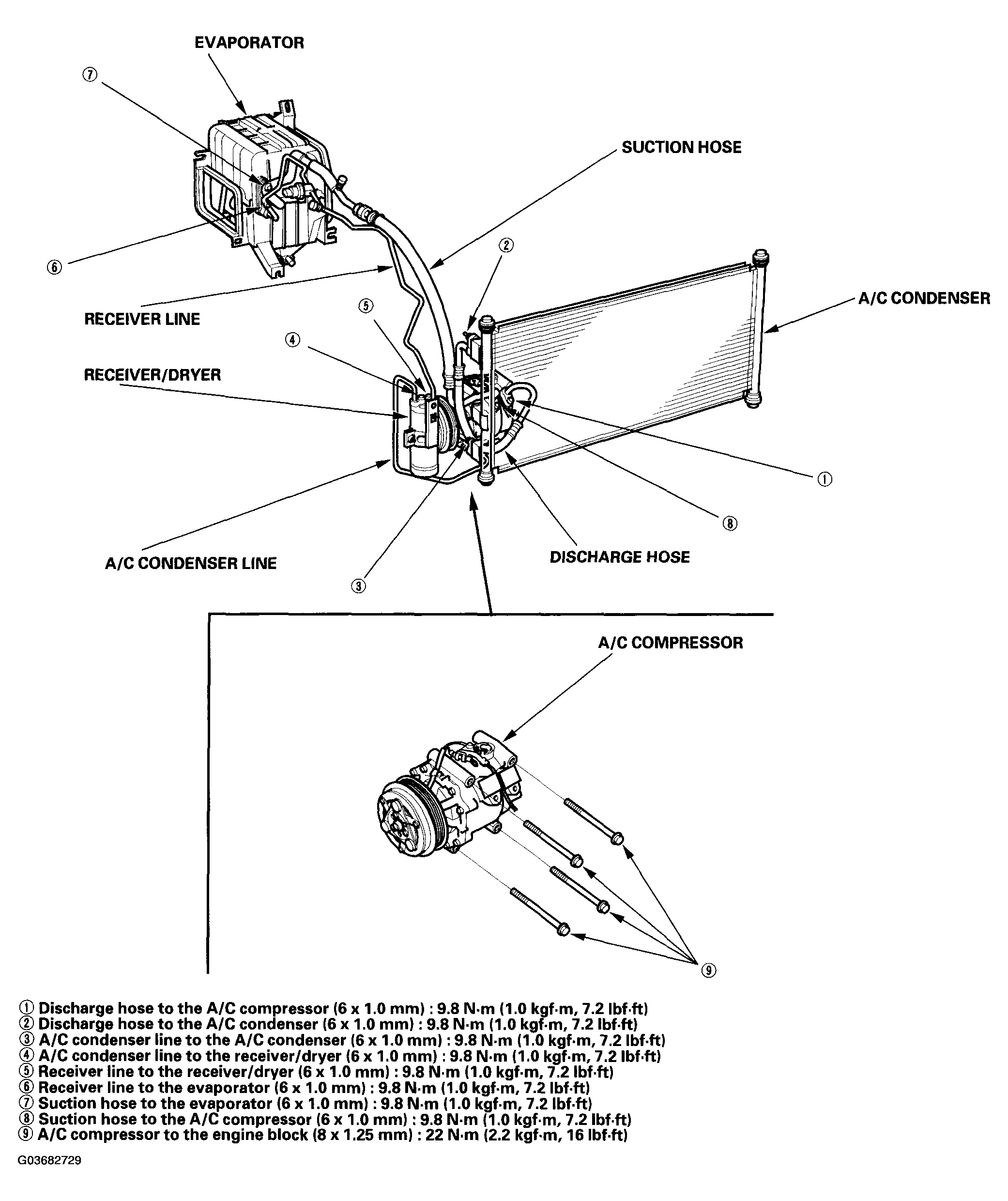 G03682729