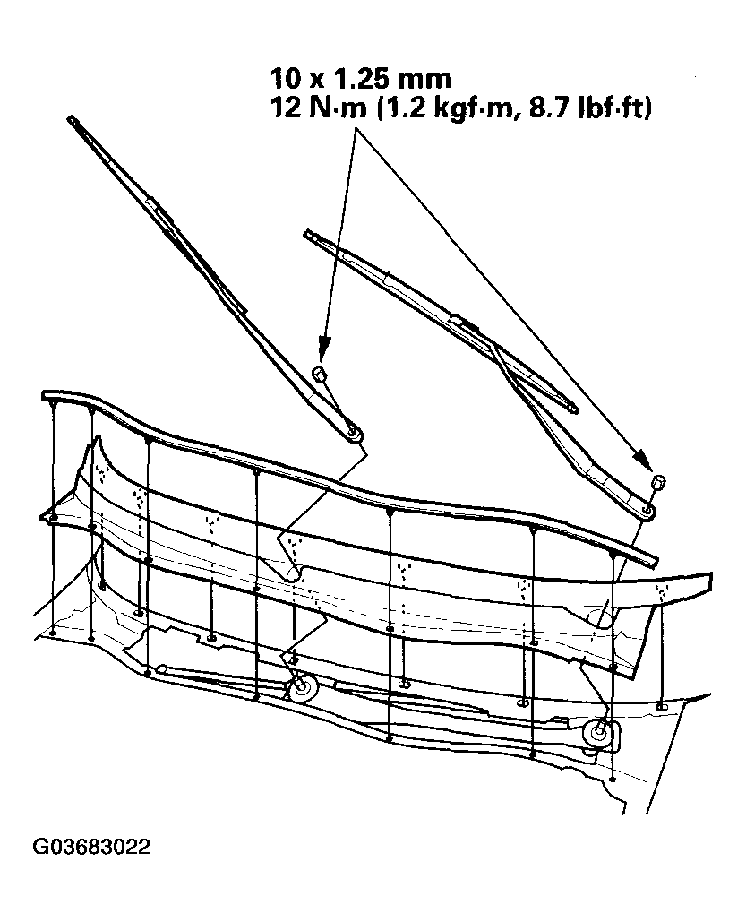 G03683022