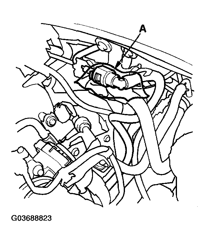 G03688823