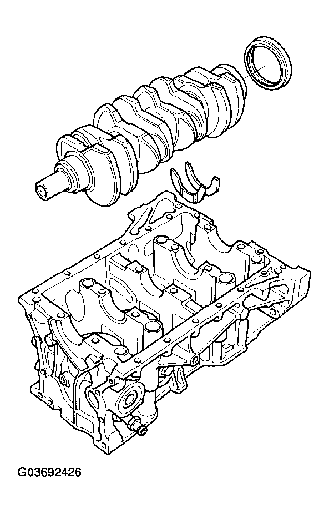 G03692426