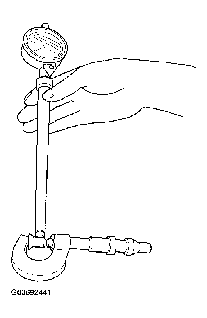G03692441