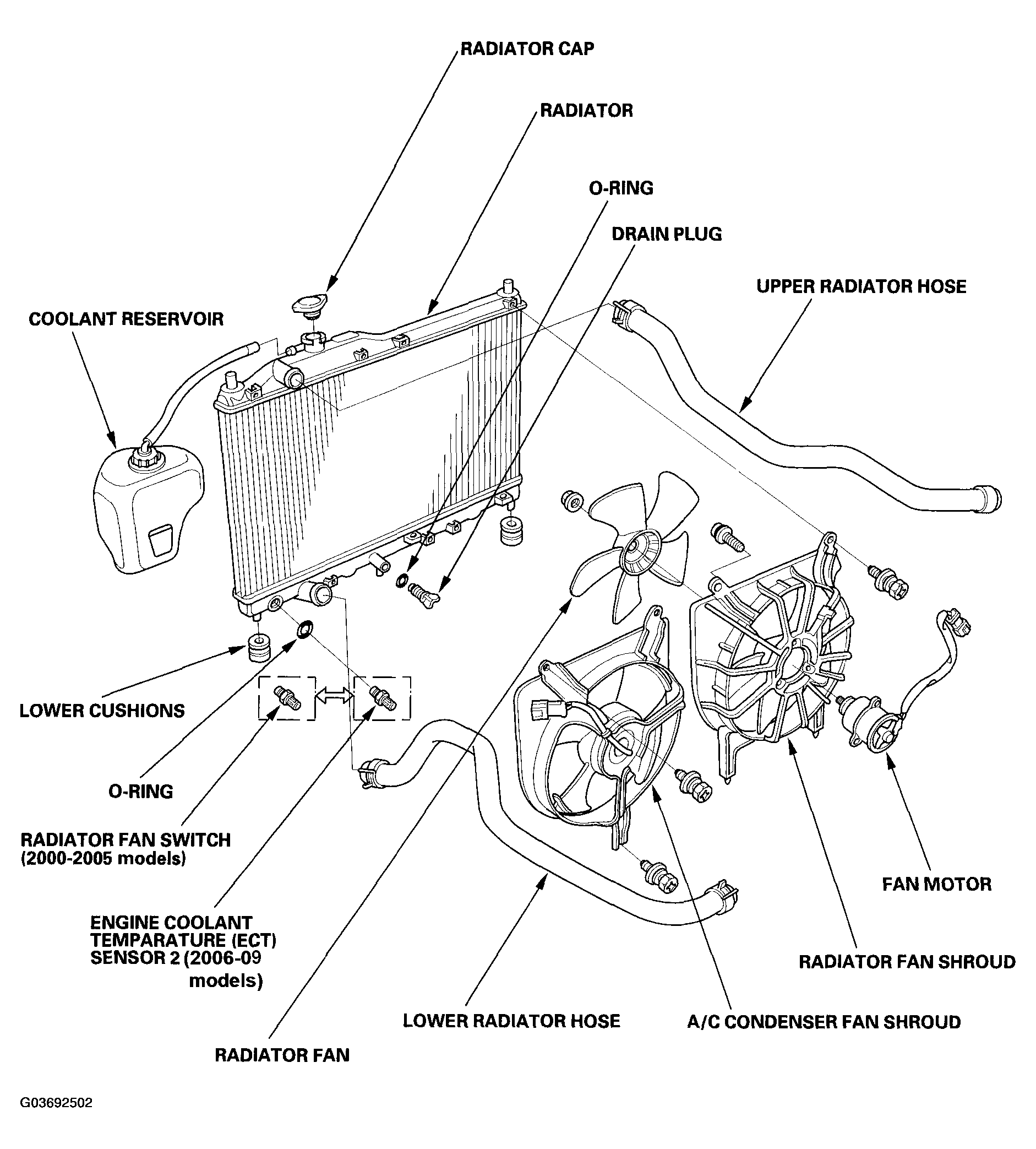 G03692502