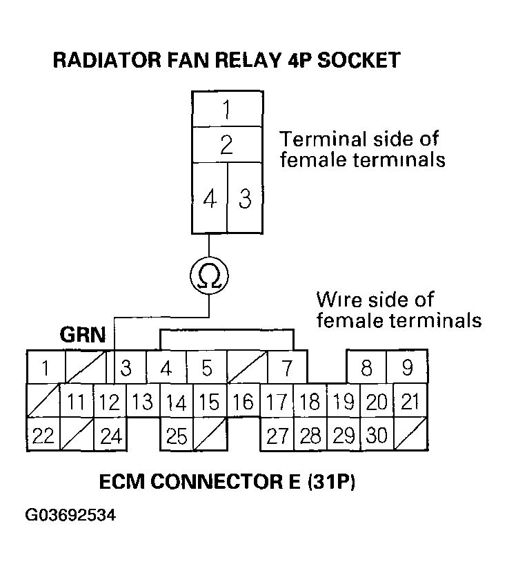 G03692534