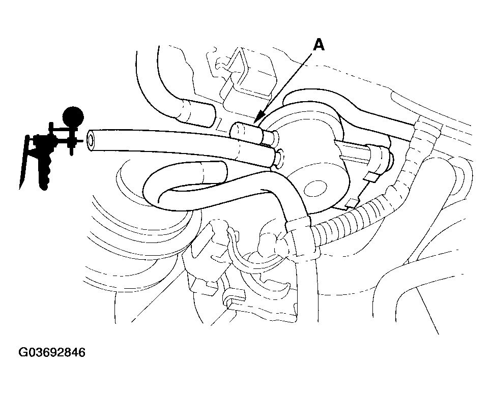 G03692846