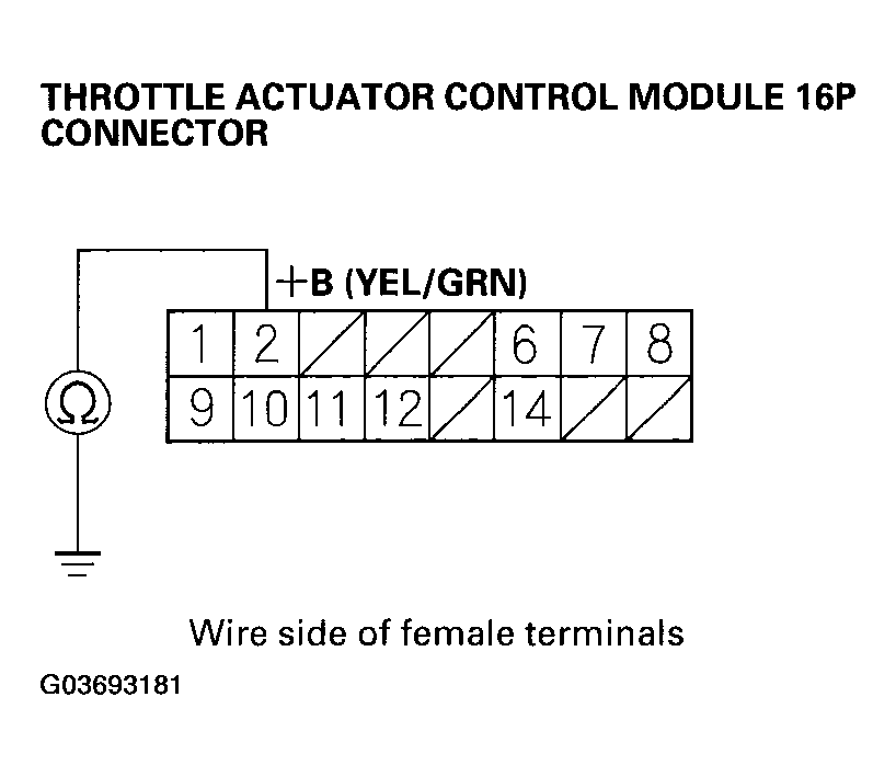 G03693181
