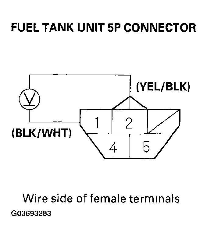 G03693283