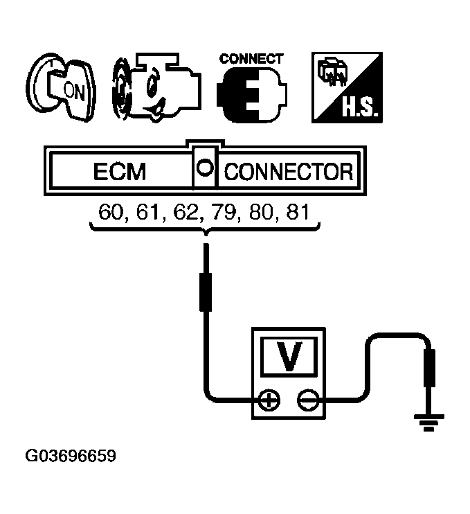 G03696659