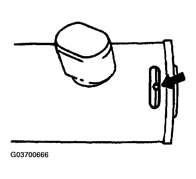 G03700666
