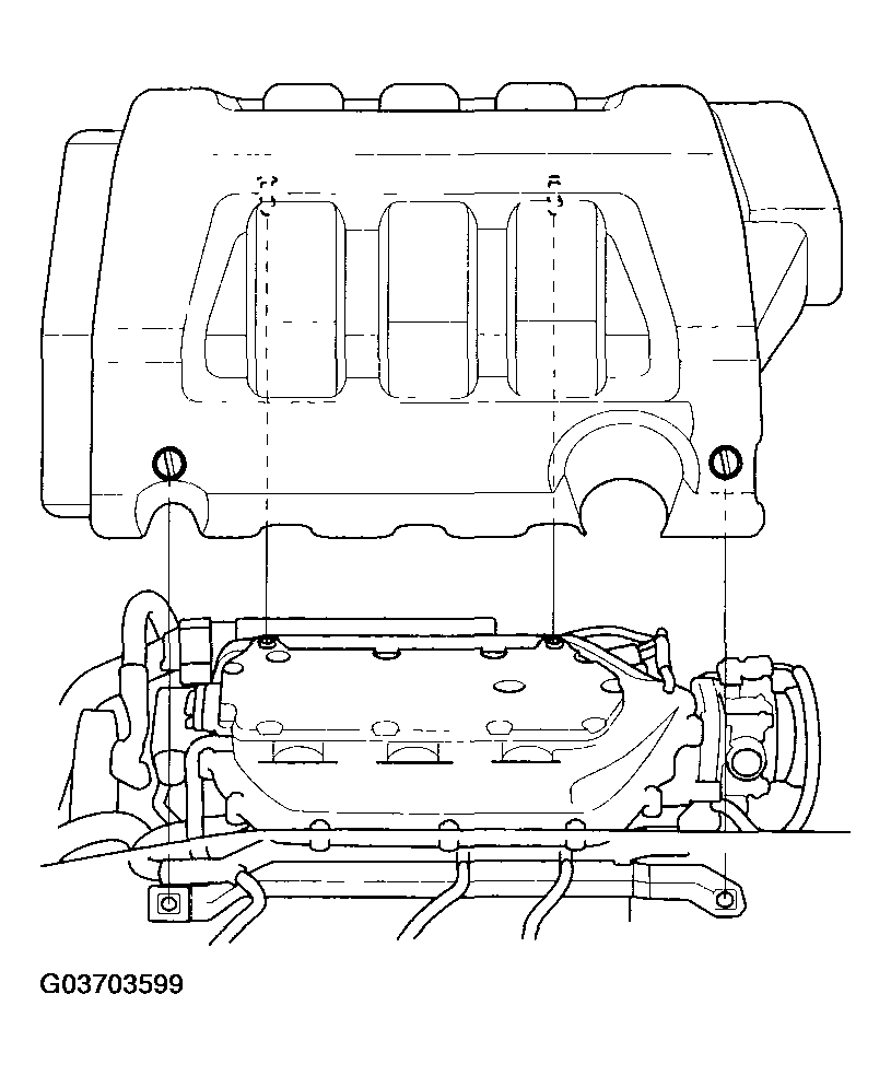 G03703599