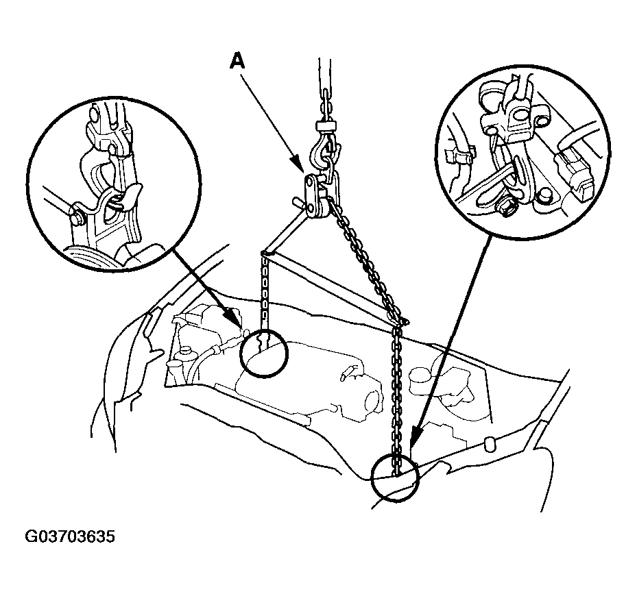 G03703635