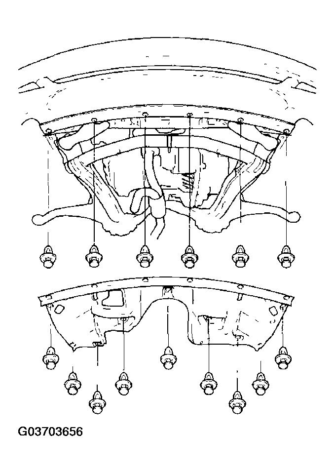 G03703656