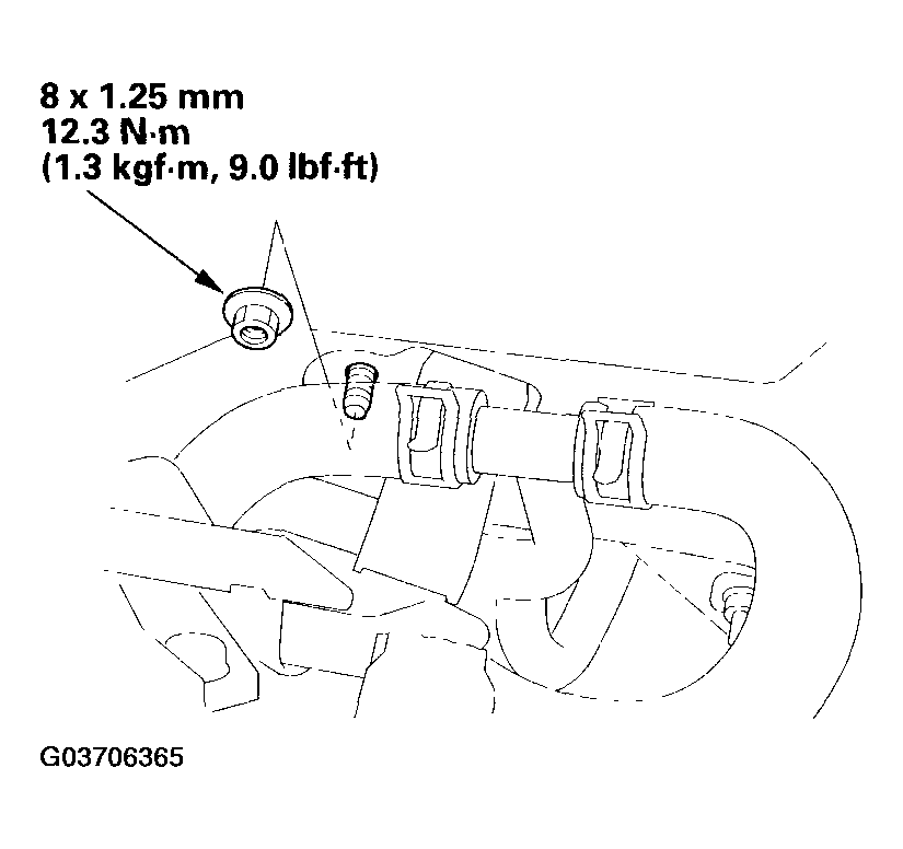 G03706365