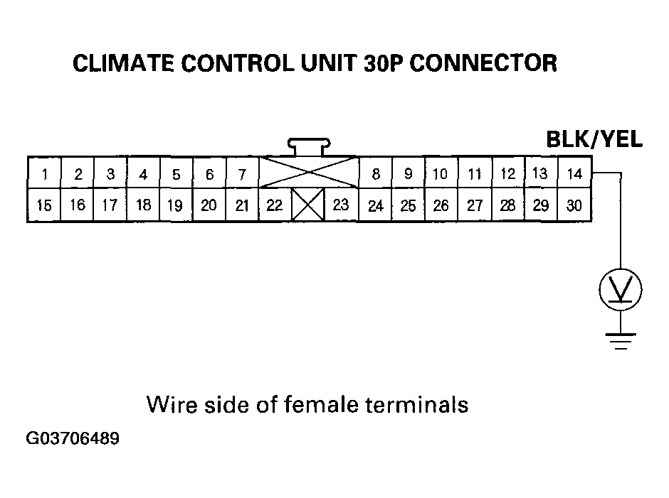 G03706489