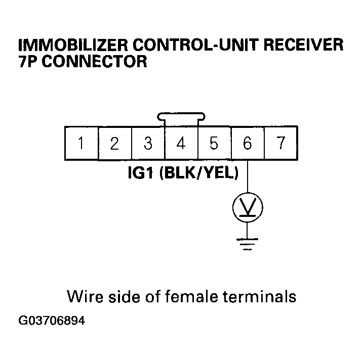 G03706894