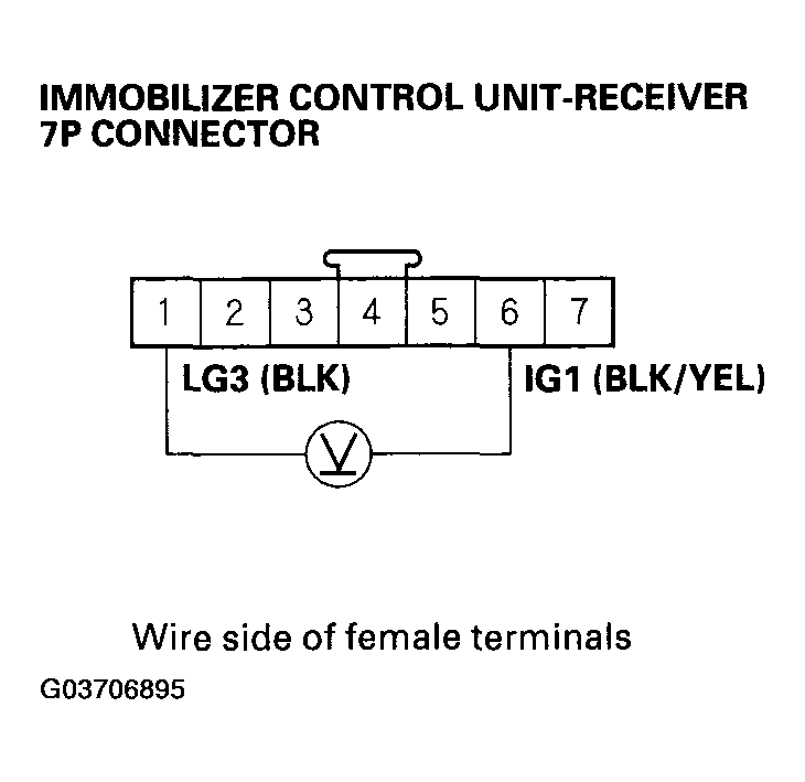 G03706895
