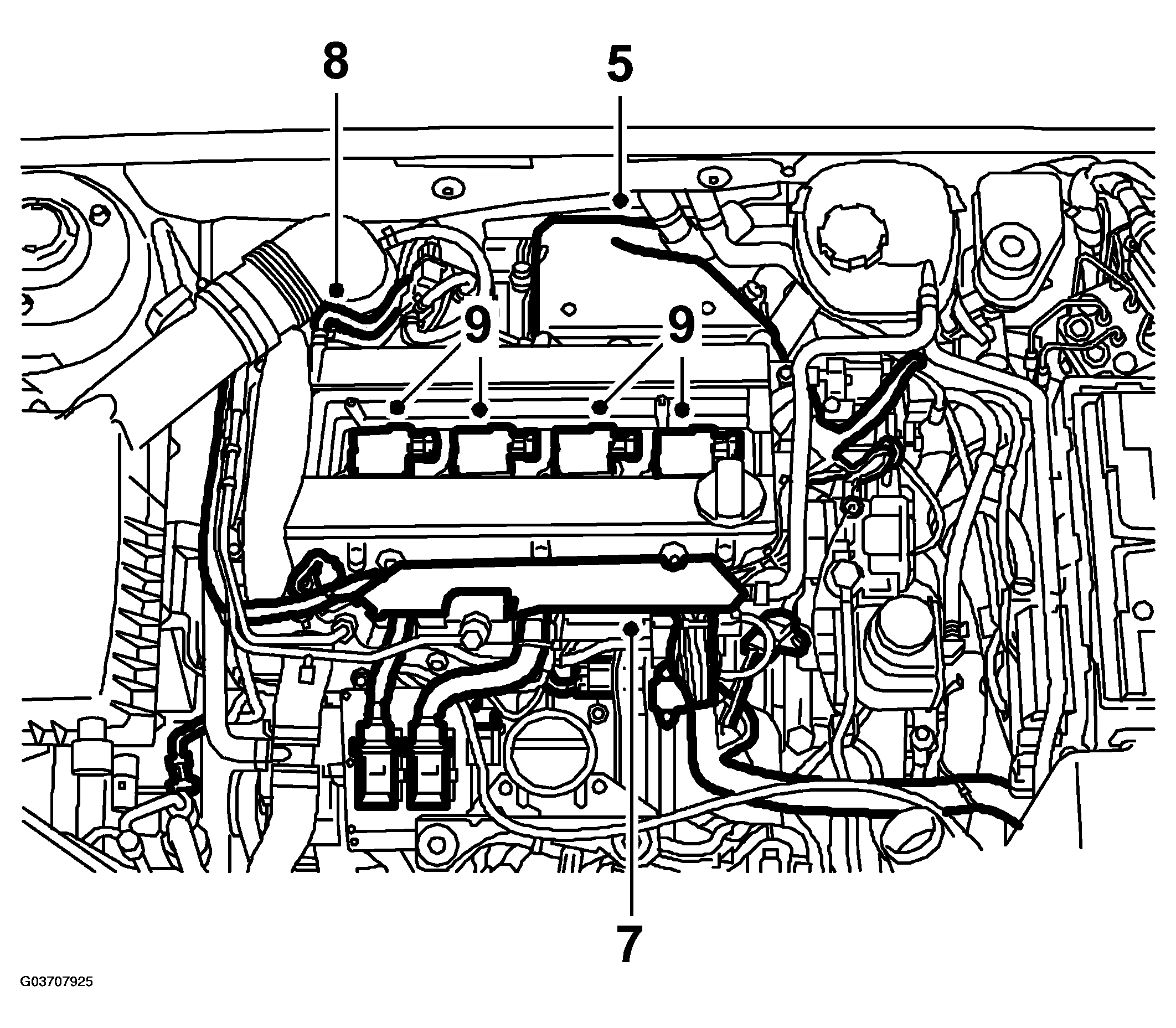 G03707925