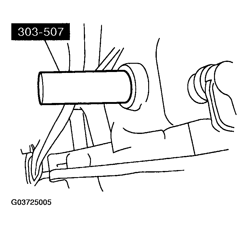 G03725005