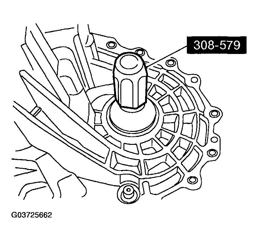 G03725662
