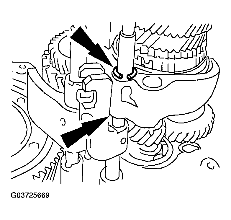 G03725669