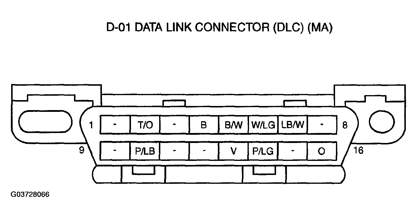 G03728066