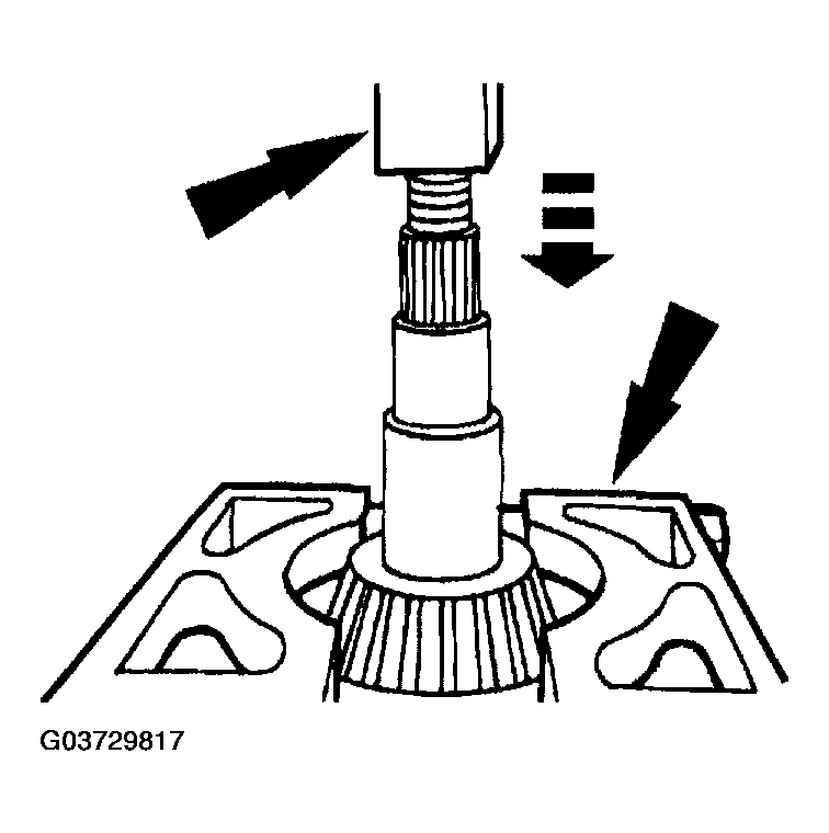 G03729817
