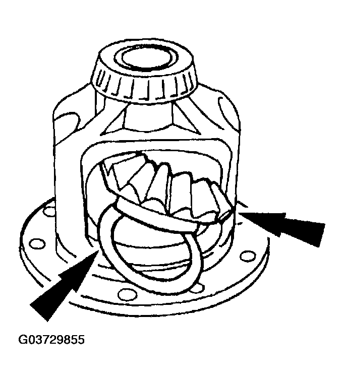 G03729855