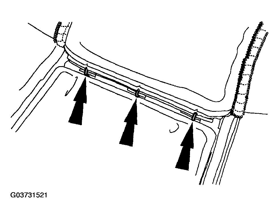 G03731521