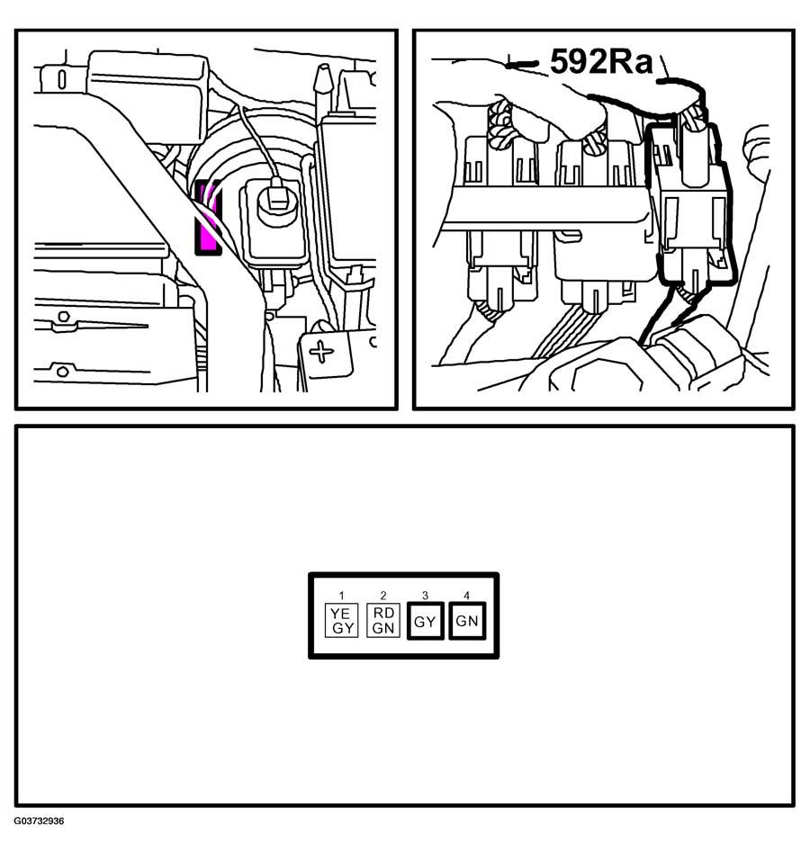 G03732936