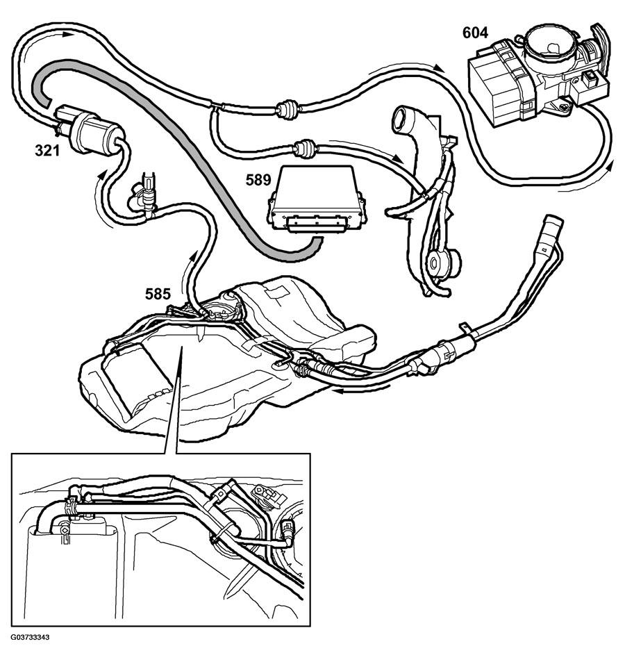 G03733343