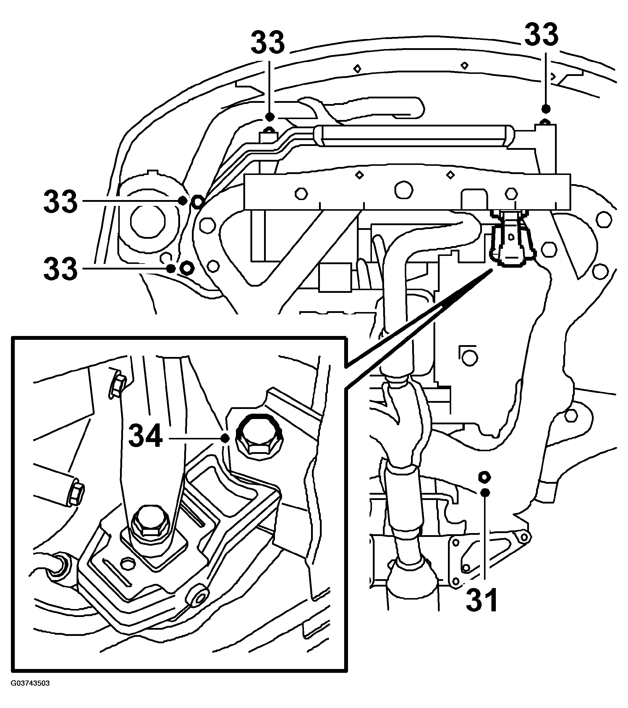 G03743503
