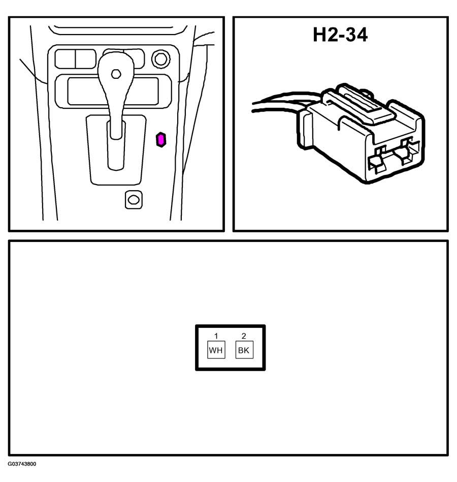 G03743800