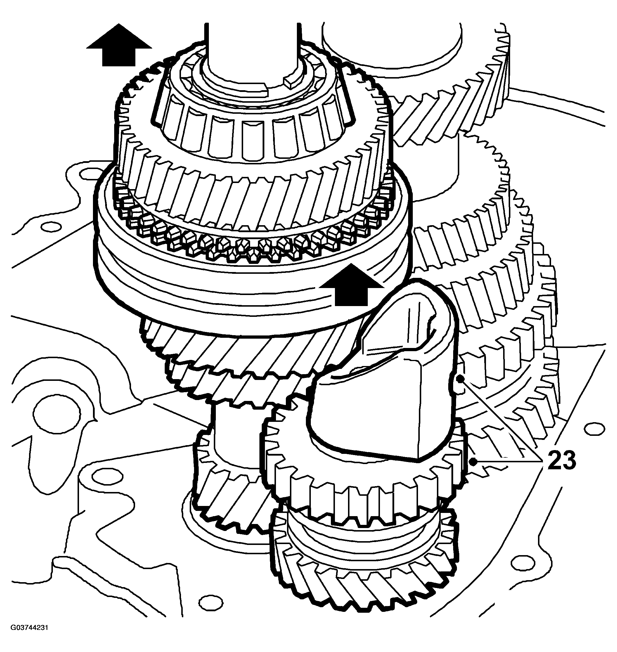 G03744231