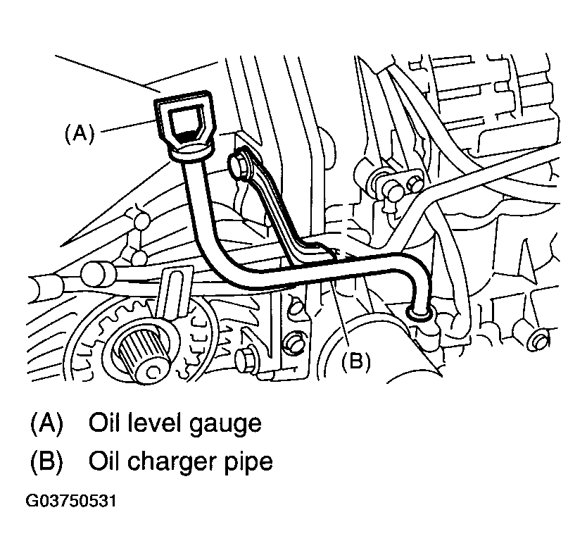 G03750531