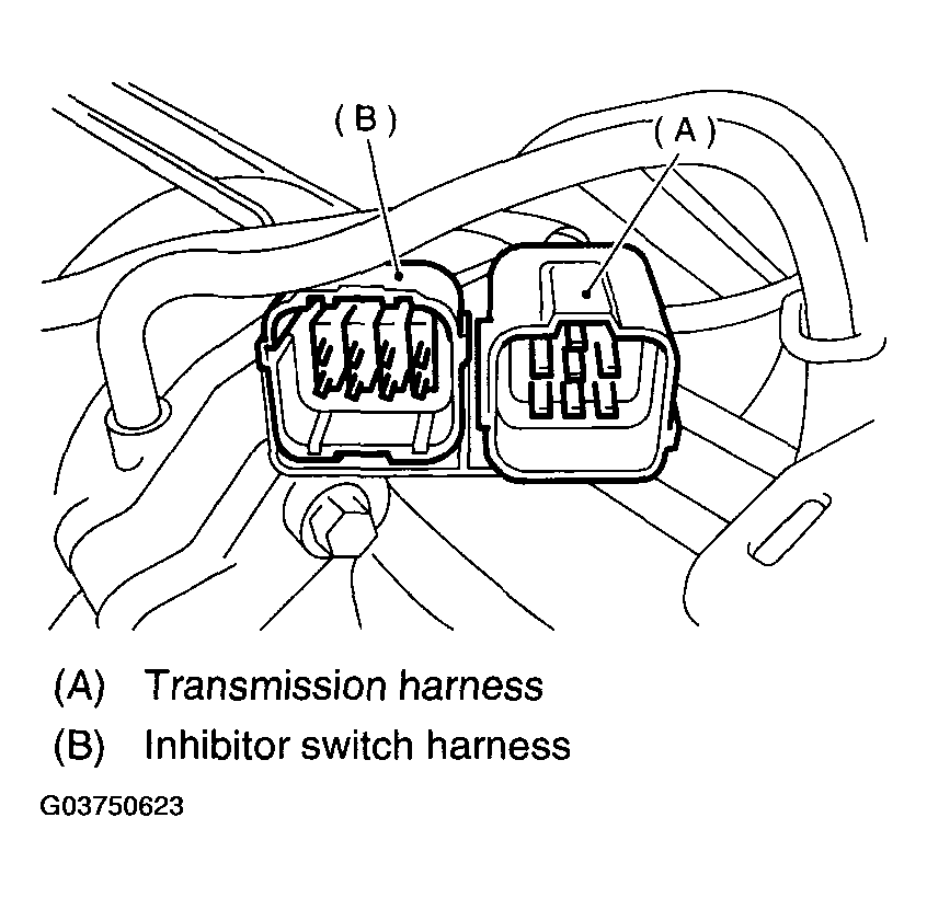 G03750623