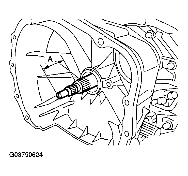 G03750624