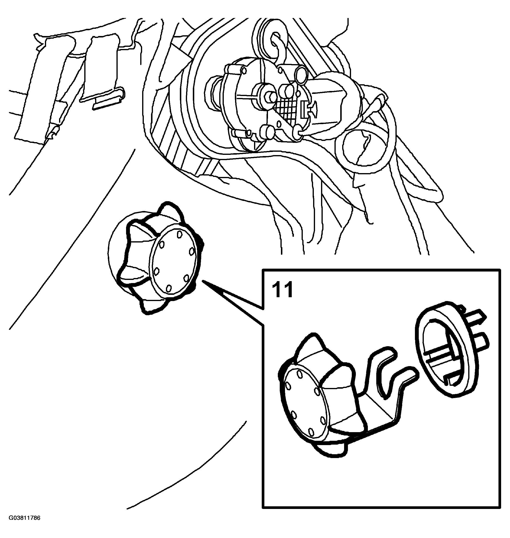 G03811786