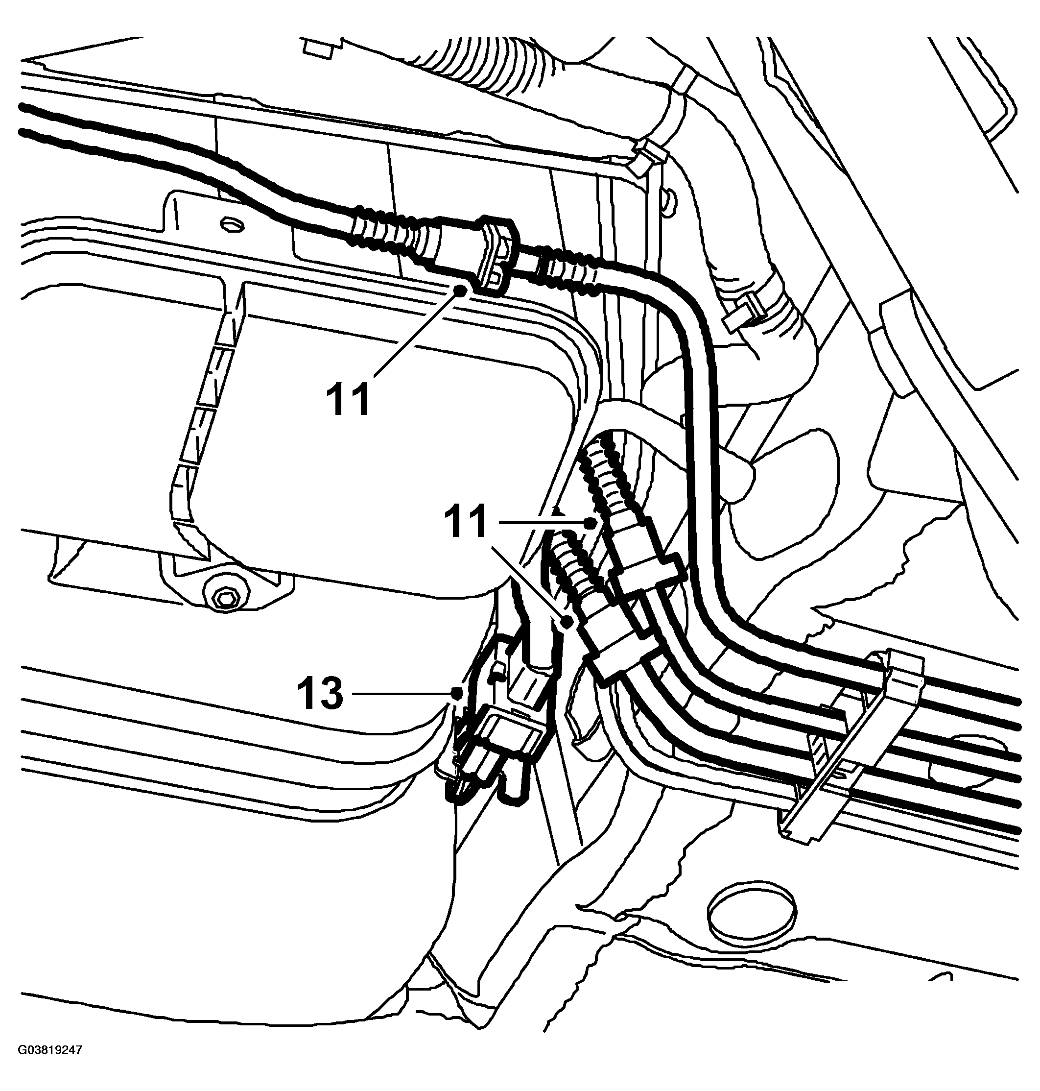 G03819247